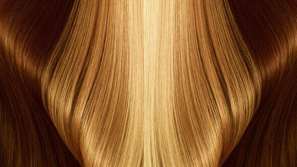 2D Computer Graphics