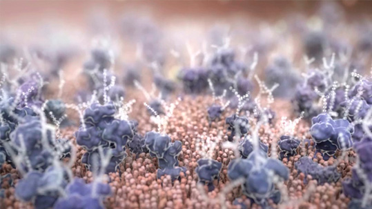 イメージ:Hydroid01