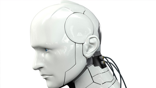 イメージ:Hydroid02